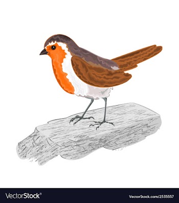 Robin-bird-on-the-stone vector image