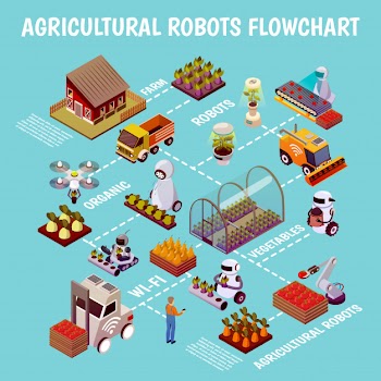 Robotised husbandry farm flowchart Free Vector