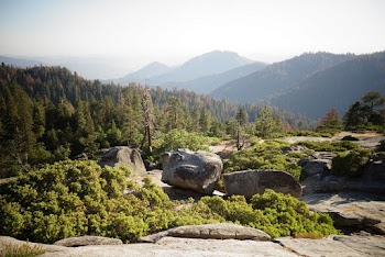 Rock Boulders on Mountain With Trees