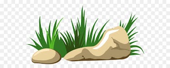 Rock Clip art - Grass and Stones Transparent PNG Clipart 