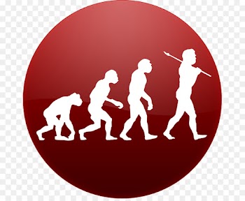 Rock, Evolution, Human Evolution, Circle PNG