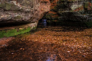 Rock Formation on Body of Water Covered With Leaves