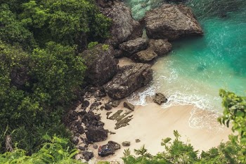 rock formation on body of water surrounded by trees during daytime