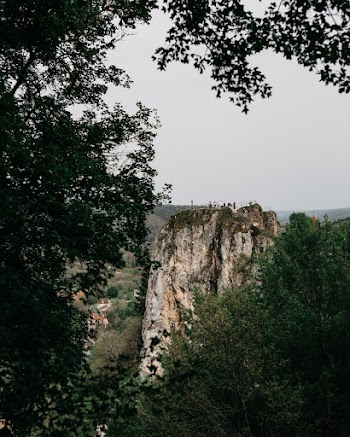 Rock Formation over the Trees