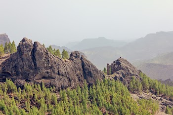 Rock Formations Surrounded With Trees