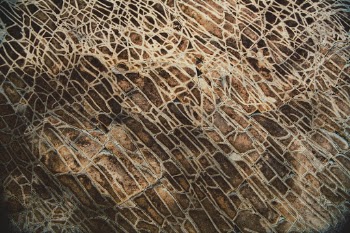 Rock Net
