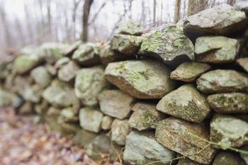 Rock wall in the forest. | Free Photo - rawpixel