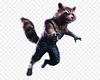 Rocket Raccoon Hulk Iron Man Carol Danvers Thor - rocket raccoon 