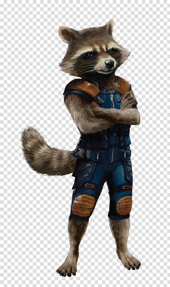Rocket Raccoon PNG Transparent Images | PNG All