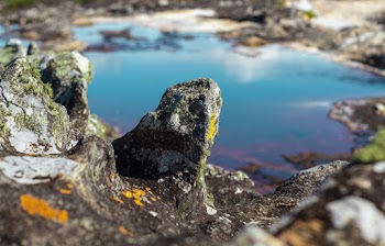 Rocks and Pond during Day