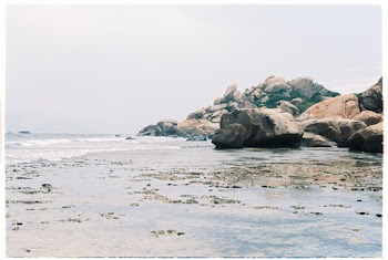 Rocks By The Ocean