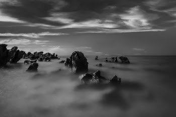 Rocks Covered With Fog