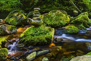 Rocks Covered With Moss