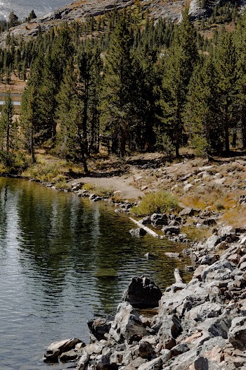 Rocks Near Body Of Water And Trees