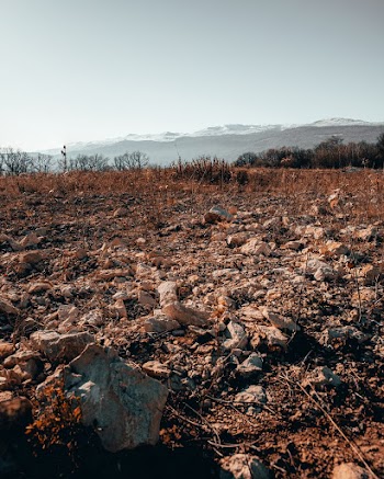 Rocks Near Grasses