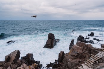 Rocks on the seashore
