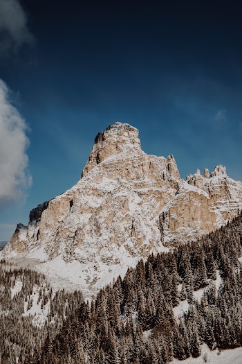 Rocky Mountain 