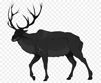 Rocky Mountain elk Red deer Moose - deer 