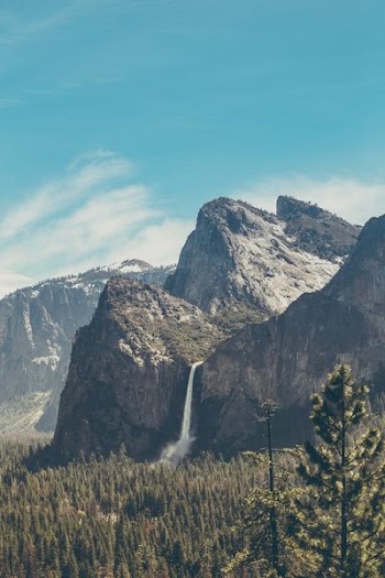 rocky mountain near trees