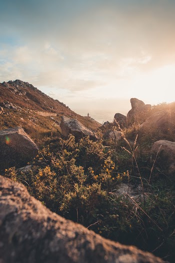 Rocky Mountain Photograph