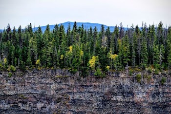 rocky mountain with trees under white sky