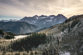rocky mountains surrounded with trees and plants