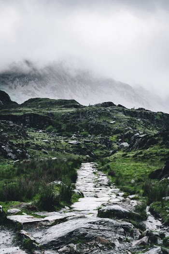 Rocky Pathway Surrounded With Grass