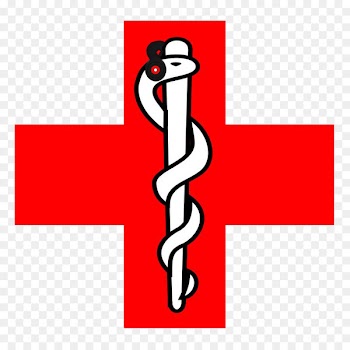 Rod of Asclepius Caduceus as a symbol of medicine Staff of Hermes - hygiene pennant 