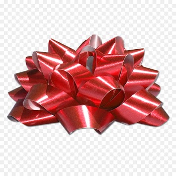 Rodan + Fields Christmas Gift Hanukkah Valentine's Day - bow 