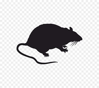 Rodent Brown rat Sticker Decal Blanket - mouse 