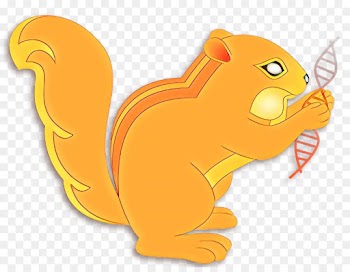 Rodent, Dog, Mammal, Squirrel, Cartoon PNG