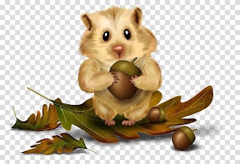 Rodent Red squirrel Chipmunk Tree squirrel, sitting cross legged girl transparent background PNG clipart