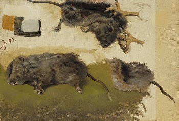 Rodents, 1893, by Ferdinand von | Free Photo - rawpixel