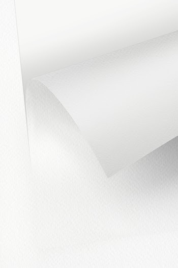 Rolled gray chart paper mockup  design element | Free  transparent png - 2378276