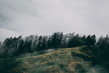 Rolling Hills
