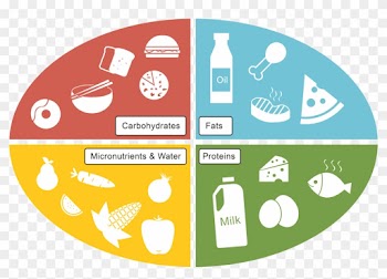 Rolls Clipart Source Carbohydrate - Food