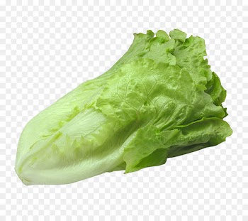 Romaine lettuce Barbecue Vegetable - Barbecue with lettuce 