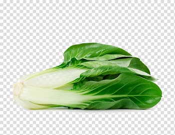 Romaine lettuce Chard Spinach Leaf vegetable, vegetable transparent background PNG clipart