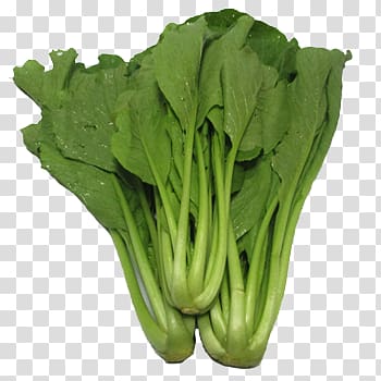 Romaine lettuce Choy sum Chinese broccoli Spring greens Komatsuna, vegetable transparent background PNG clipart