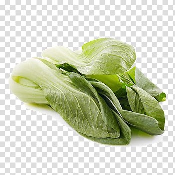 Romaine lettuce COFCO Womaiwang Cruciferous vegetables Komatsuna, Organic vegetables rapeseed transparent background PNG clipart