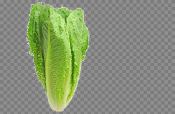 Romaine Lettuce PNG Pic