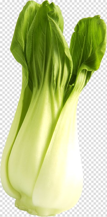 Romaine lettuce Vegetable Spring greens Collard greens Chard, HD vegetable transparent background PNG clipart