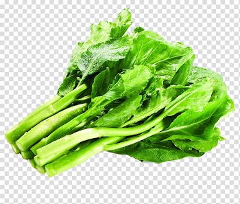 Romaine lettuce Vegetarian cuisine Kale Chinese broccoli Collard greens, Green vegetables Kale transparent background PNG clipart