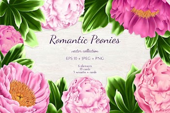 Romantic Peonies