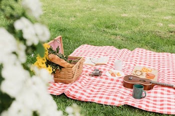 Romantic Picnic In The Grass