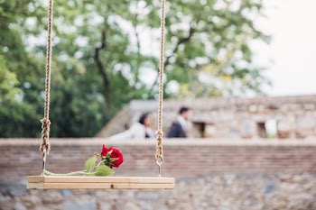 Romantic Rose On Swing