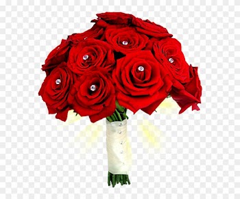 Romantic Rose Stickers Messages Sticker-2 - Rose Flower Bokeh Png