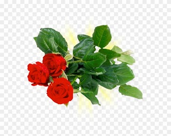 Romantic Rose Stickers Messages Sticker-7 - Khadi Rose Honey With Rose Petal Soap (set Of 4)