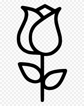 Romantic Valentine Day Rose Lotus Flower Comments - Rose
