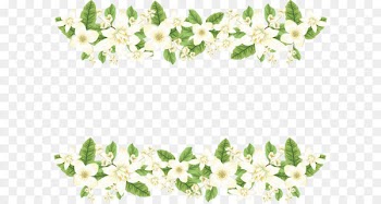 Romantic white jasmine border 